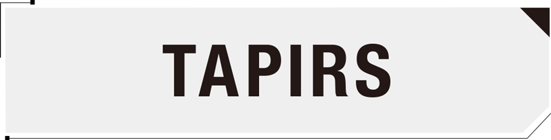 TAPIRS